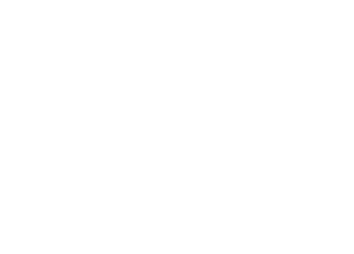 株式会社ルーツ